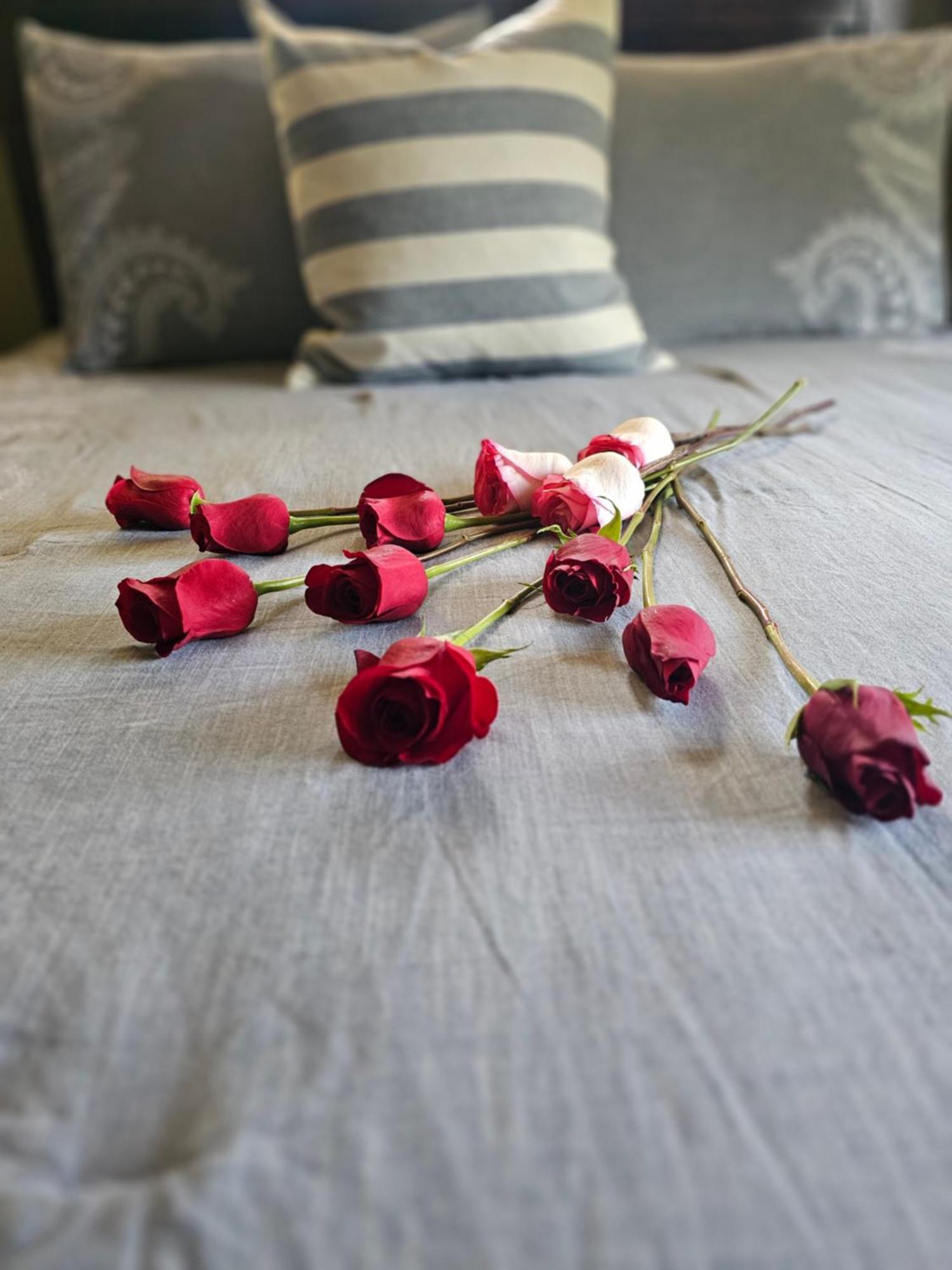 Hilltop Manor B&B Hot Springs Dış mekan fotoğraf